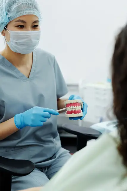 A dentist explaining brushing with a dental model